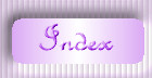 Page index