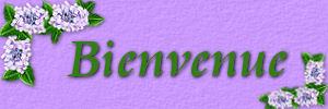 bienvenue.jpg