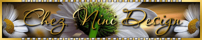 Nini design