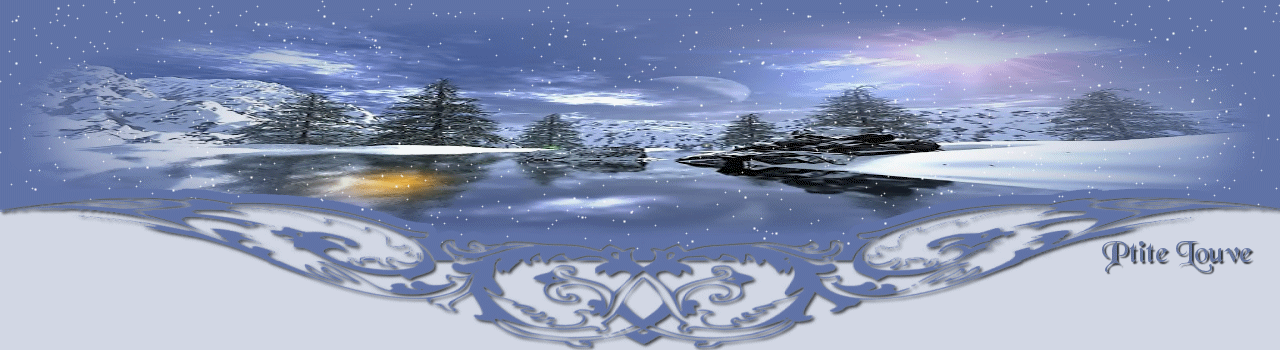 paysage_hivernal