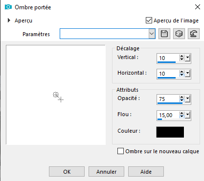 ombre_port&eacute;e chauve-souris
