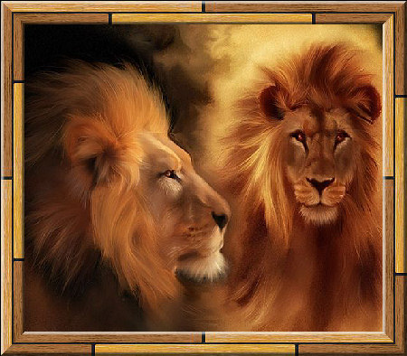 lion