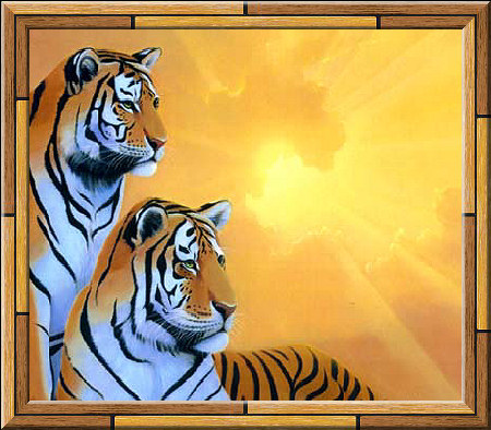 tigre